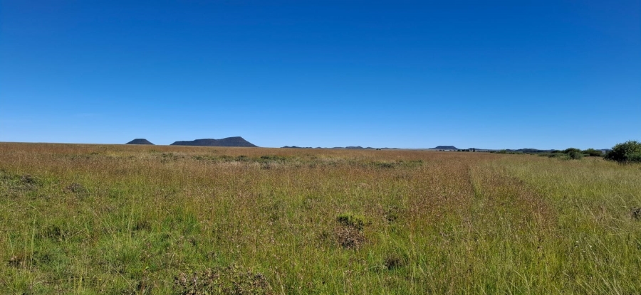 3 Bedroom Property for Sale in Bloemfontein Rural Free State